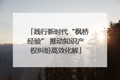 践行新时代“枫桥经验” 推动知识产权纠纷高效化解