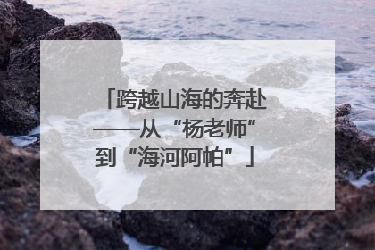 跨越山海的奔赴——从“杨老师”到“海河阿帕”
