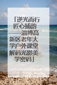 逆光而行 匠心捕韵——淄博高新区老年大学户外课堂解码光影美学密码