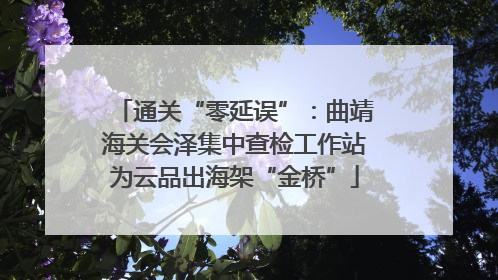 通关“零延误”:曲靖海关会泽集中查检工作站为云品出海架“金桥”