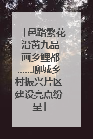邑路繁花 沿黄九品 画乡鲤都……聊城乡村振兴片区建设亮点纷呈