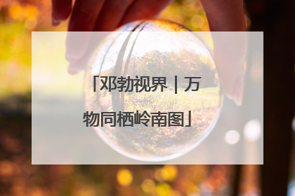 邓勃视界｜万物同栖岭南图