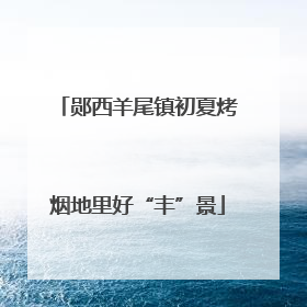 郧西羊尾镇初夏烤烟地里好“丰”景