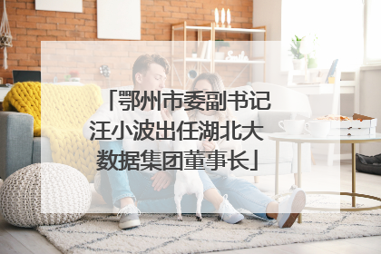 鄂州市委副书记汪小波出任湖北大数据集团董事长