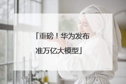 重磅！华为发布准万亿大模型