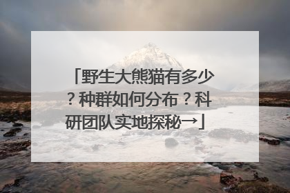野生大熊猫有多少？种群如何分布？科研团队实地探秘→