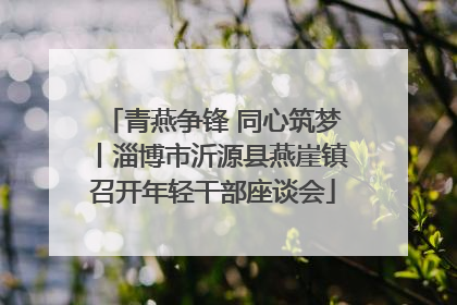 青燕争锋 同心筑梦丨淄博市沂源县燕崖镇召开年轻干部座谈会