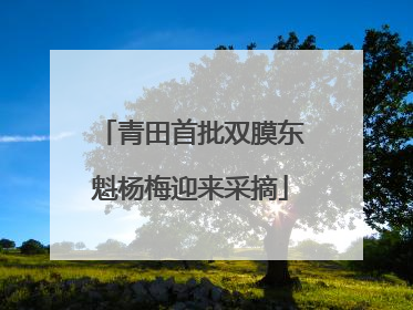 青田首批双膜东魁杨梅迎来采摘