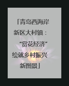 青岛西海岸新区大村镇：“赏花经济”绘就乡村振兴新图景