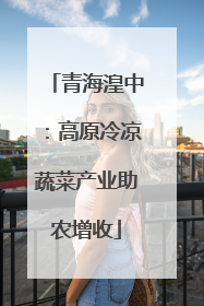 青海湟中：高原冷凉蔬菜产业助农增收