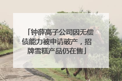 钟薛高子公司因无偿债能力被申请破产，招牌雪糕产品仍在售