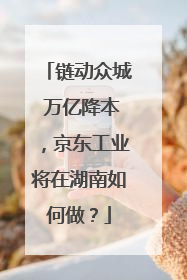 链动众城 万亿降本，京东工业将在湖南如何做？
