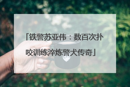 铁警苏亚伟：数百次扑咬训练淬炼警犬传奇