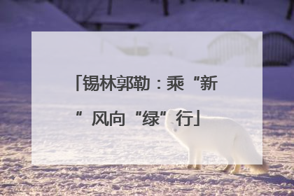 锡林郭勒：乘“新”风向“绿”行