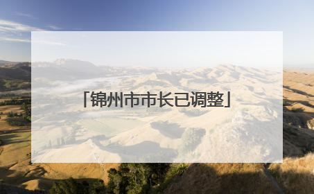 锦州市市长已调整