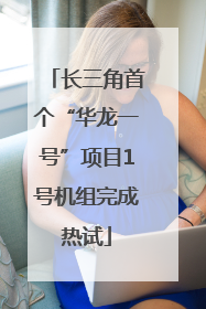 长三角首个“华龙一号”项目1号机组完成热试