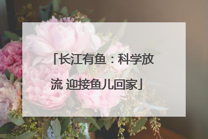 长江有鱼：科学放流 迎接鱼儿回家