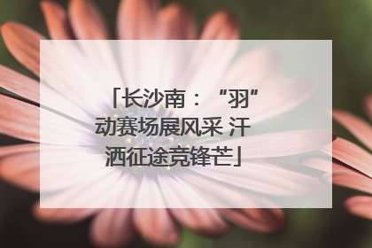 长沙南：“羽”动赛场展风采 汗洒征途竞锋芒
