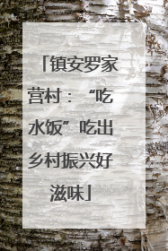镇安罗家营村：“吃水饭”吃出乡村振兴好滋味