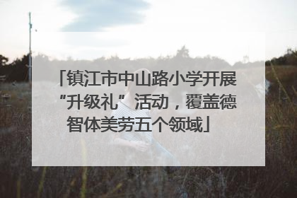 镇江市中山路小学开展“升级礼”活动，覆盖德智体美劳五个领域