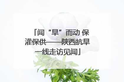 闻“旱”而动 保灌保供——陕西抗旱一线走访见闻