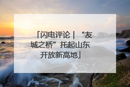闪电评论｜“友城之桥”托起山东开放新高地