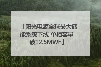 阳光电源全球最大储能系统下线 单柜容量破12.5MWh