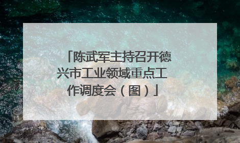 陈武军主持召开德兴市工业领域重点工作调度会（图）