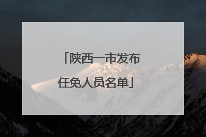 陕西一市发布任免人员名单