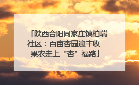 陕西合阳同家庄镇柏瑞社区：百亩杏园迎丰收 果农走上“杏”福路