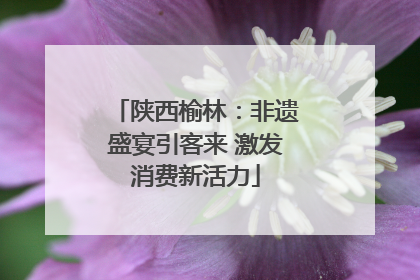 陕西榆林：非遗盛宴引客来 激发消费新活力