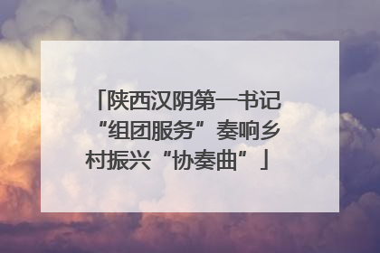 陕西汉阴第一书记“组团服务”奏响乡村振兴“协奏曲”