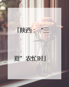 陕西：“三夏”农忙时