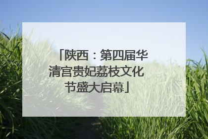 陕西：第四届华清宫贵妃荔枝文化节盛大启幕