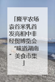 隆平农场袁谷米乳首发亮相中非经贸博览会“味道湖南”美食市集