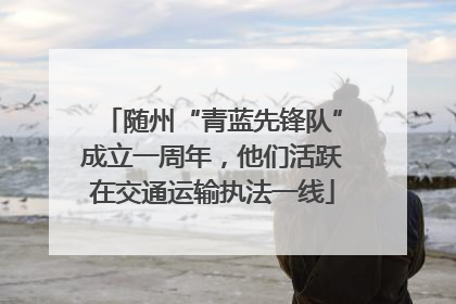随州“青蓝先锋队”成立一周年，他们活跃在交通运输执法一线