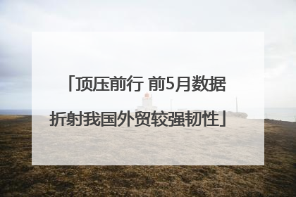 顶压前行 前5月数据折射我国外贸较强韧性