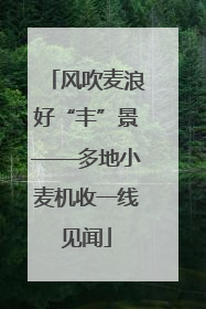 风吹麦浪好“丰”景——多地小麦机收一线见闻
