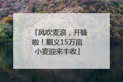 风吹麦浪，开镰啦！顺义15万亩小麦迎来丰收