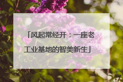风起常经开：一座老工业基地的智美新生