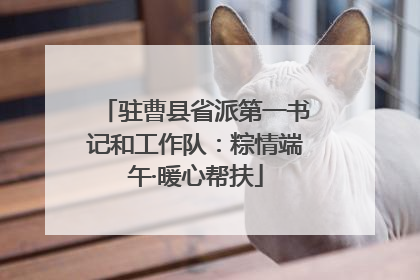 驻曹县省派第一书记和工作队：粽情端午·暖心帮扶