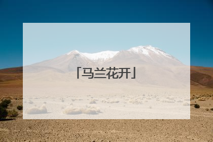 马兰花开