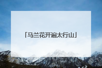马兰花开遍太行山