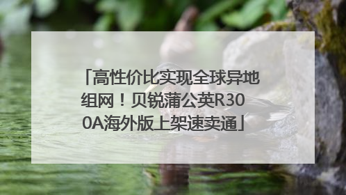 高性价比实现全球异地组网！贝锐蒲公英R300A海外版上架速卖通