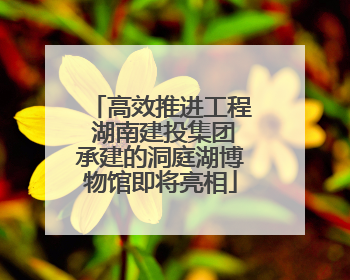 高效推进工程 湖南建投集团承建的洞庭湖博物馆即将亮相
