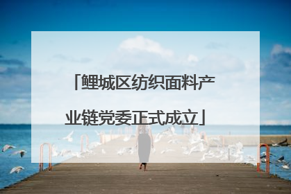 鲤城区纺织面料产业链党委正式成立