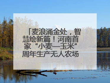麦浪涌金处，智慧绘新篇！河南首家“小麦—玉米”周年生产无人农场喜迎丰收