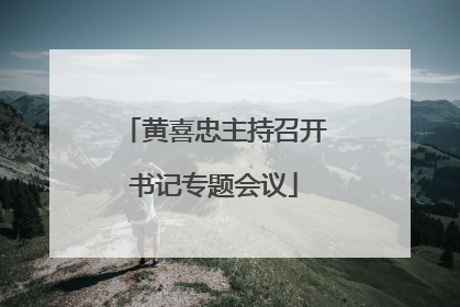 黄喜忠主持召开书记专题会议
