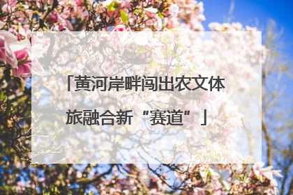 黄河岸畔闯出农文体旅融合新“赛道”