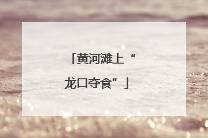 黄河滩上“龙口夺食”